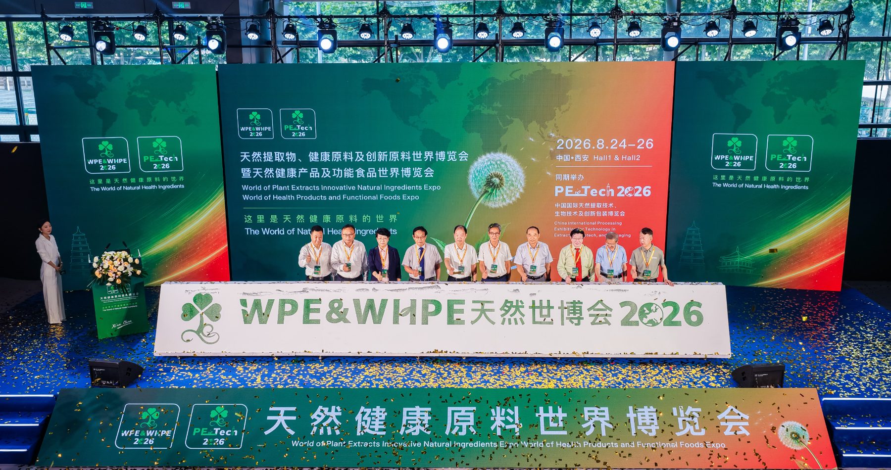 扫码咨询顾问二维码